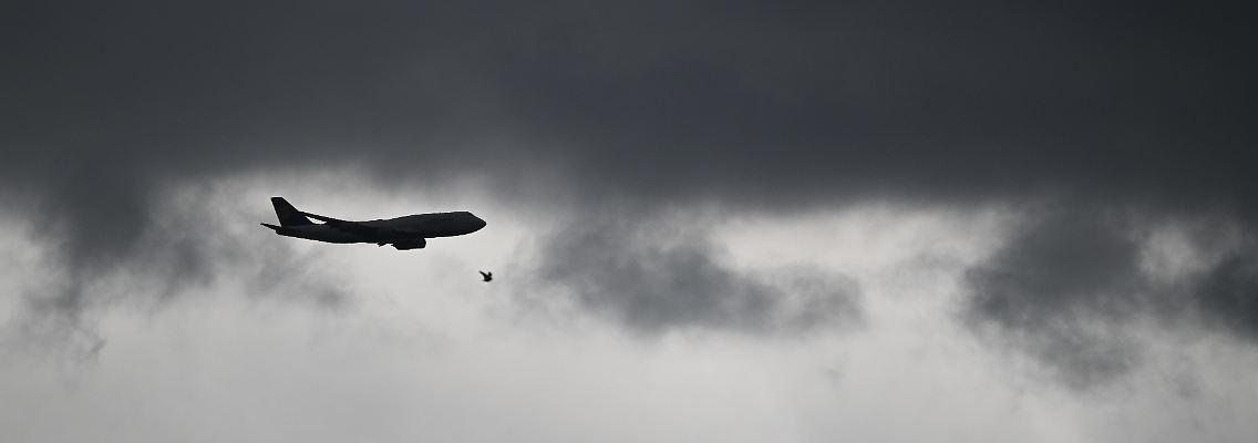 455987116.jpg