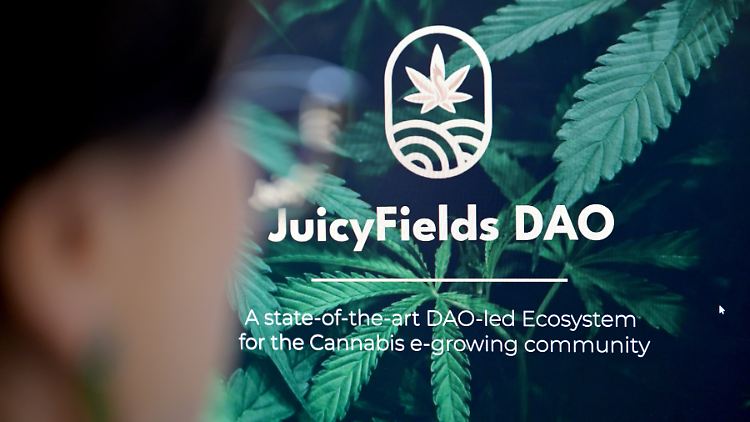 Die Betrüger bauten die Plattform "JuicyFields" auf und lockten auf Cannabismessen Investoren an, um sie um ihr Geld zu bringen.