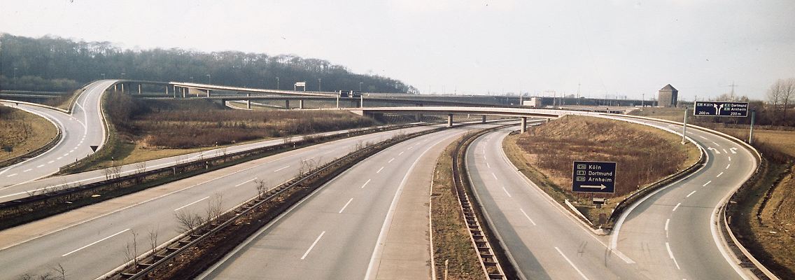 5820432.jpg