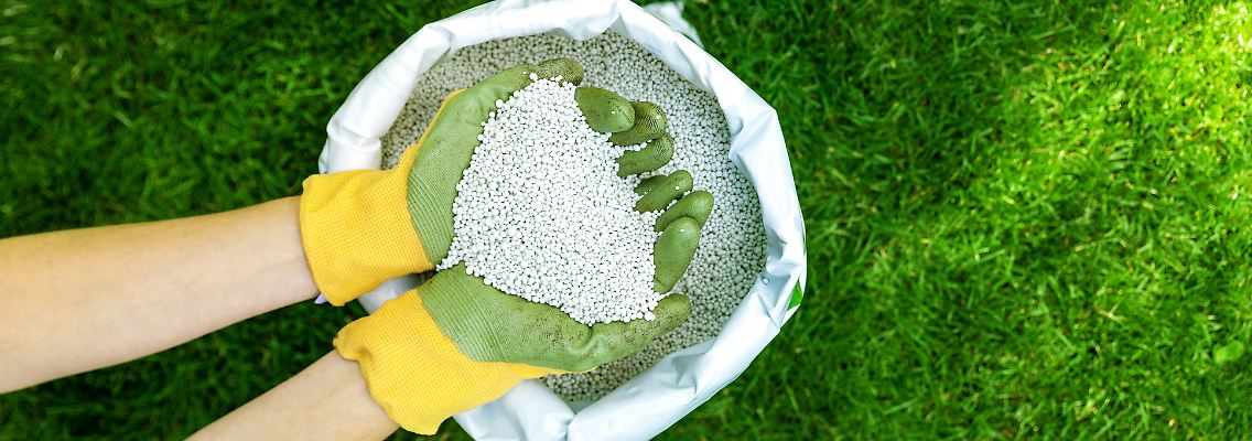 Rasendünger kaufen: Diese Hilfsmittel lassen das Gras sprießen.