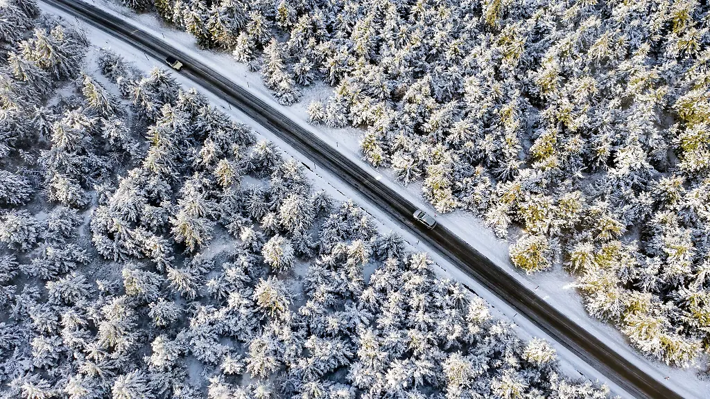 Autos-fahren-durch-einen-verschneiten-Wald