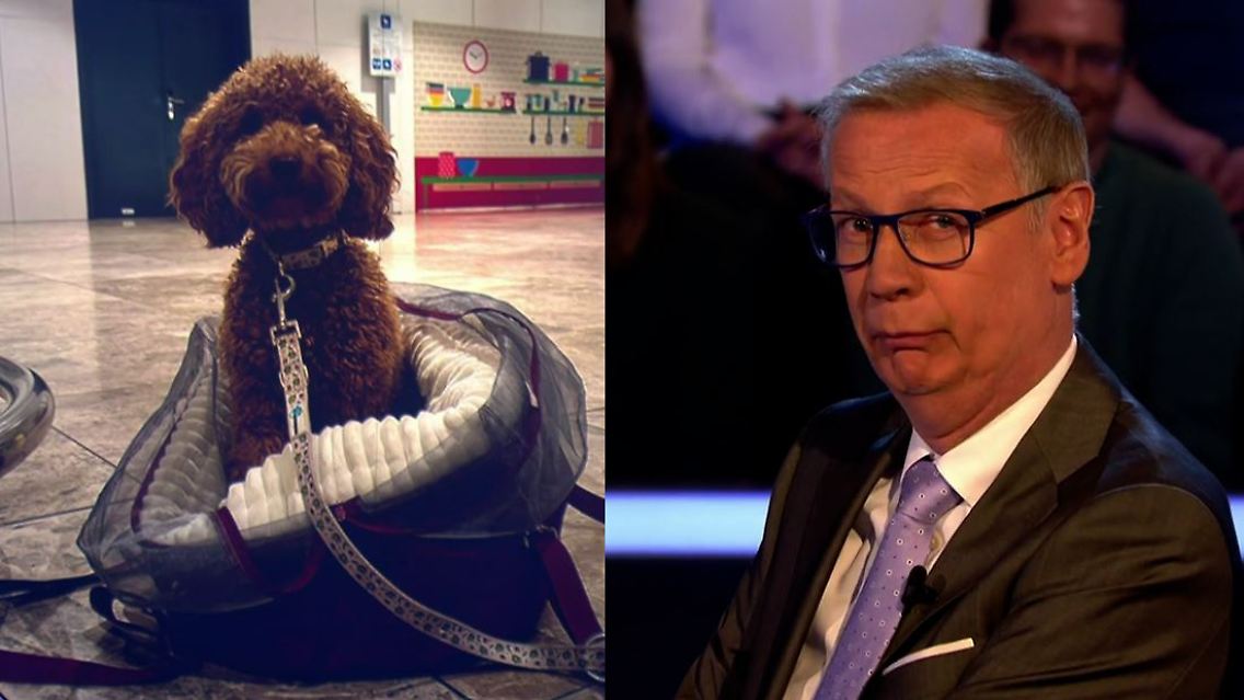 jauch (1).JPG