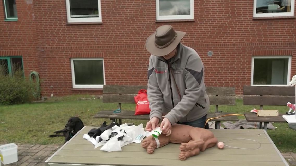 erste_hilfe_hundis.JPG