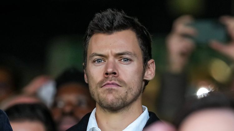 Die verurteilte Brasilianerin darf in den nächsten zehn Jahren keine Veranstaltungen von Harry Styles besuchen.