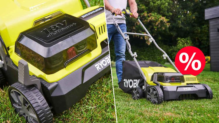 Bei Ebay ist ein Akku-Vertikutierer von Ryobi im Angebot. Lohnt sich der Kauf? 