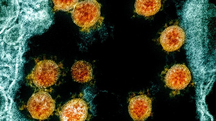 Die Forschenden aus den Niederlanden haben immer wieder Proben des Patienten genommen - und bemerkten Dutzende Mutationen. 
