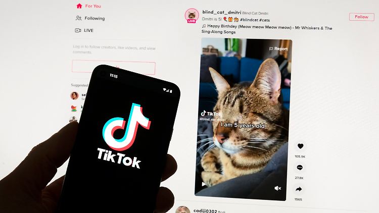 Onlinedienste wie Tiktok sind unter dem EU-Gesetz für digitale Dienste verpflichtet, Minderjährige besser zu schützen.