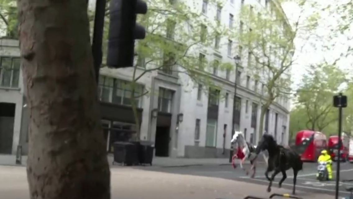 PferdeLondon.JPG