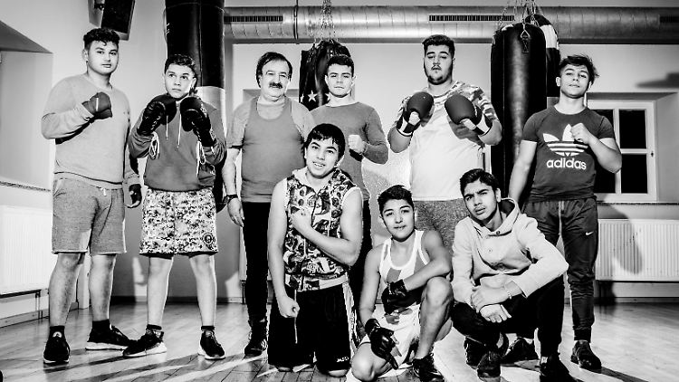 Boxers, Duisburg, 2019