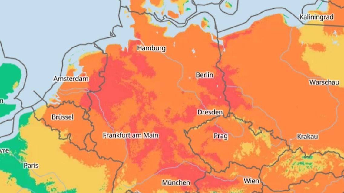 Unbenannt.jpg