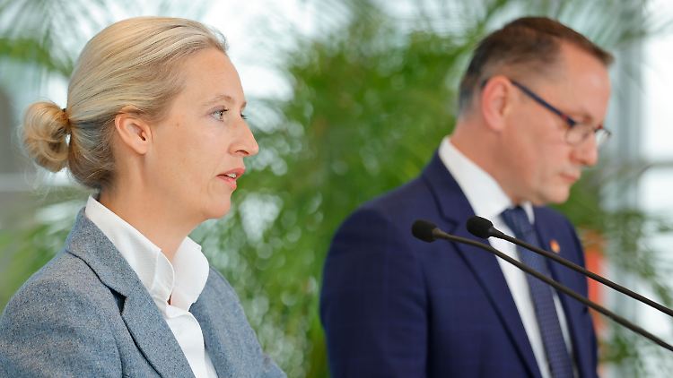 Haben die Vorsitzenden der AfD-Bundestagsfraktion, Weidel und Chrupalla, ihren Laden noch im Griff?