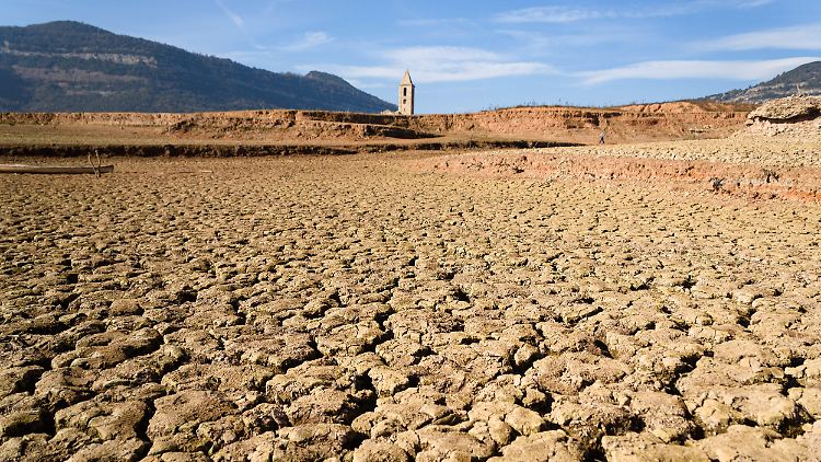 Europa hat im Jahr 2023 laut dem Copernicus-Klimareport eine Rekordanzahl von Tagen mit "extremem Hitzestress" erlebt.