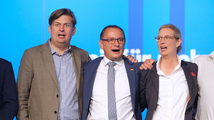Damals noch Arm in Arm: Krah, Chrupalla und Weidel auf dem Europaparteitag in Magdeburg.