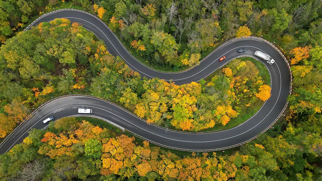 Herbstlich-bunt-praesentieren-sich-die-Waelder-im-Harz-bei-Blankenburg