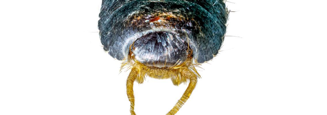 imago0169462163h.jpg