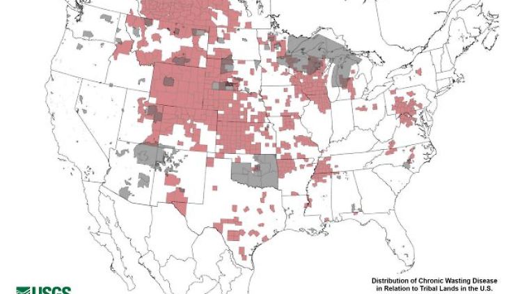 Die Verbreitung der Chronic Wasting Disease in den USA (Stand: Februar 2024)