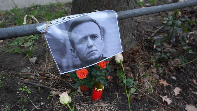 Diejenigen, die behaupten, Putin habe nichts gewusst, "verstehen offensichtlich nichts davon, wie das moderne Russland funktioniert", sagen Mitstreiter von Alexej Nawalny.