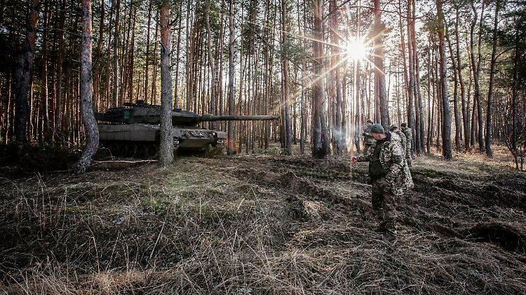 Ein Leopard 2 der ukrainischen Armee in einem Wald in der Region Donezk.