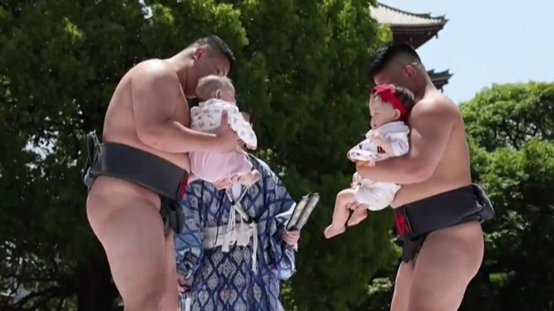 Babys_Sumo.JPG