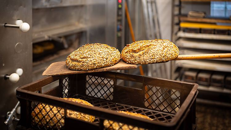 Brot und Brötchen sind im Schnitt ein Drittel teurer als vor fünf Jahren.