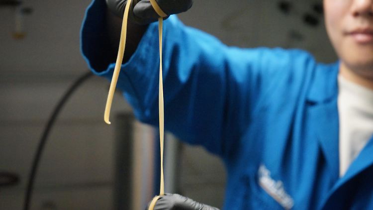 Sporen in dem abbaubaren thermoplastischen Biokomposit-Polyurethan verbessern die mechanischen Eigenschaften von handelsüblichem thermoplastischen Polyurethan.