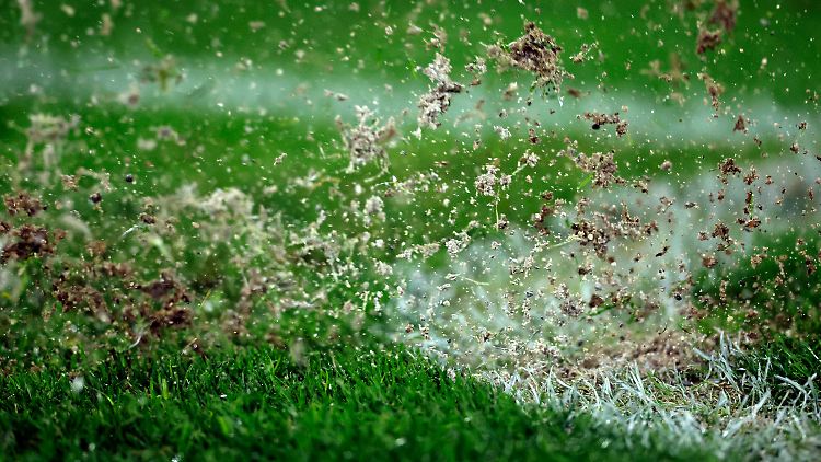 Aufgewirbelte Erde nach einem Eckstoß an der Eckfahne: KI wirbelt auch den Fußball ordentlich auf.