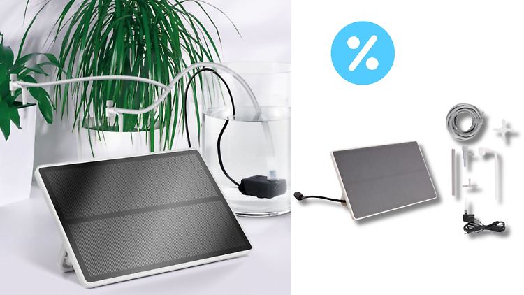 Ein Bewässerungssystem löscht den Durst der Pflanzen, wenn niemand zu Hause ist.