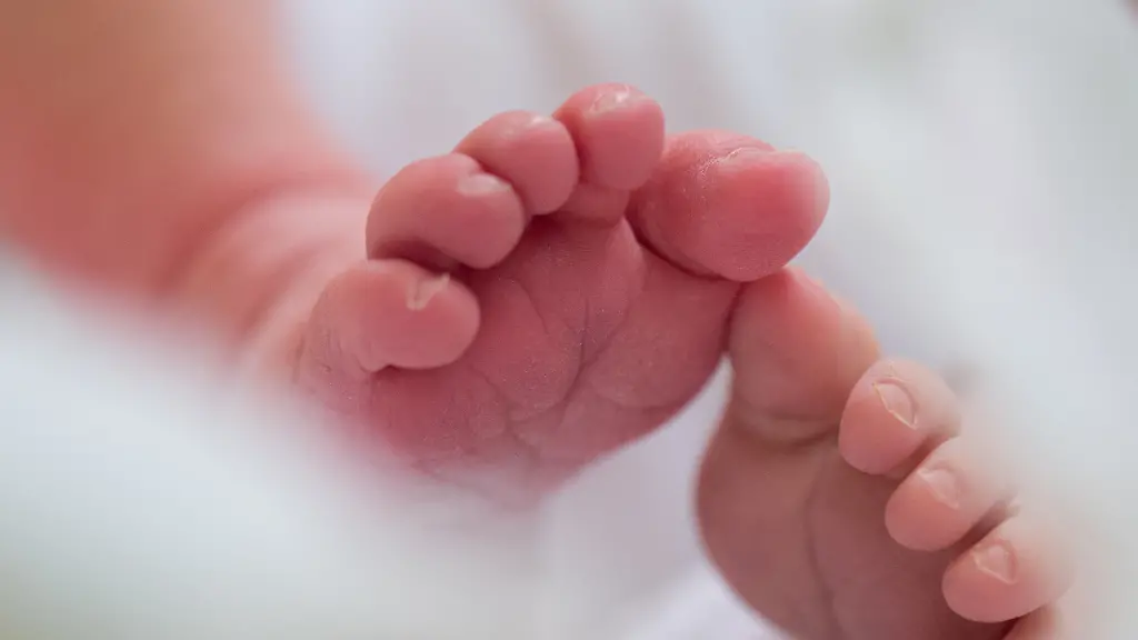 ac57ea0ca5fb3a97dd51440b0c69b69c