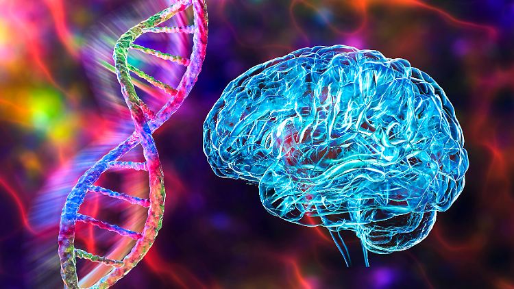 Mit den Ergebnissen der Studie wird Alzheimer erstmals als vererbbare Krankheit identifiziert. 