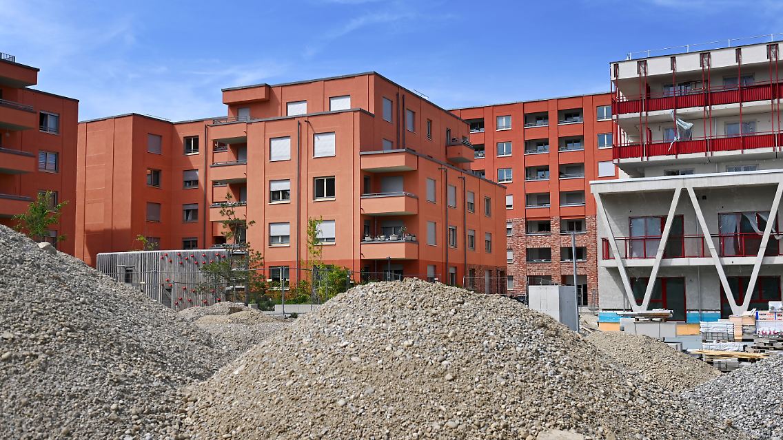 460790776.jpg