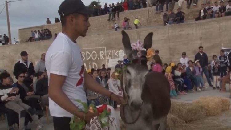 Esel-Festival in Marokko.jpg