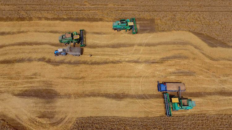 In einigen russischen Regionen wurde der Notstand in der Landwirtschaft ausgerufen.