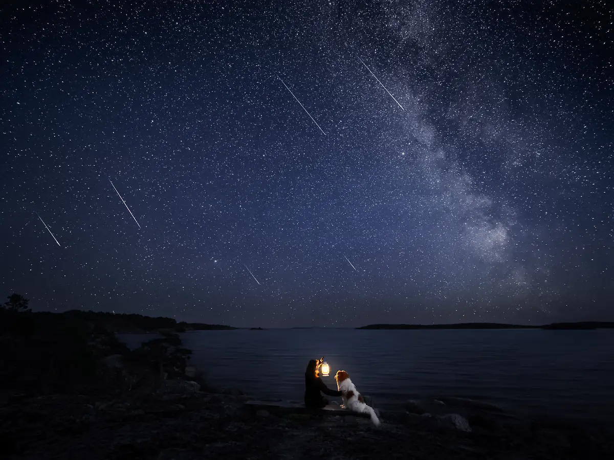 KV-20230812-P8120321-DogPhotographyAwards