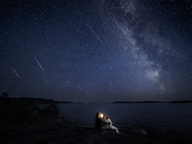 KV-20230812-P8120321-DogPhotographyAwards