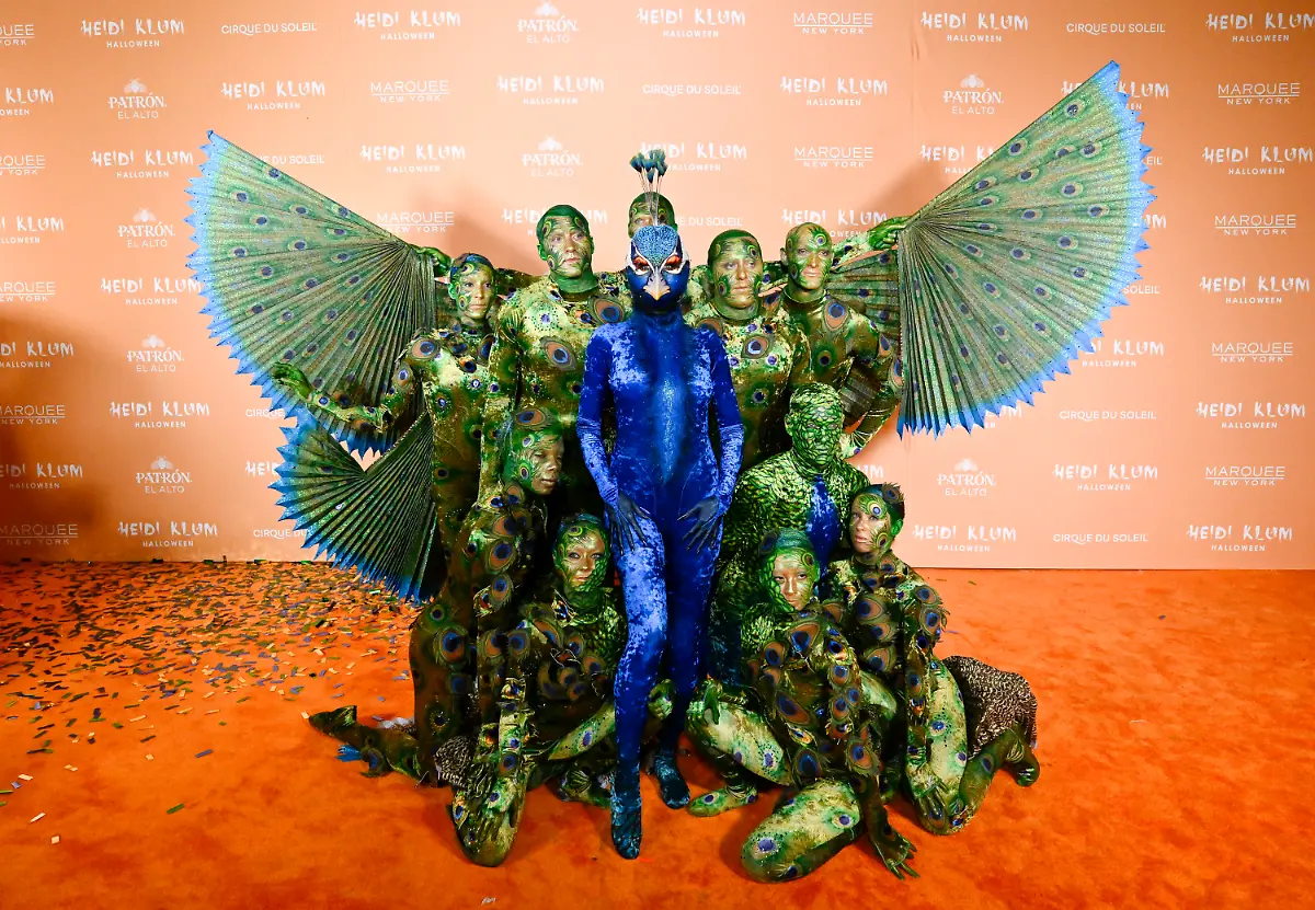 11acd24d5d70f8e1e299d4d992505563