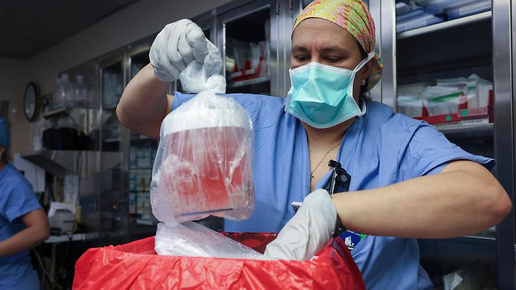 Im März wurde Richard Slayman diese Schweineniere transplantiert.
