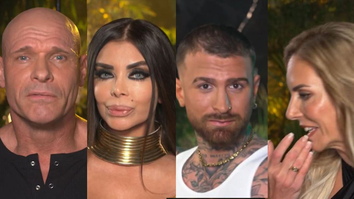 IBES_Collage.jpg