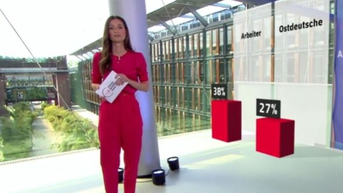 AfD_Wähler.JPG