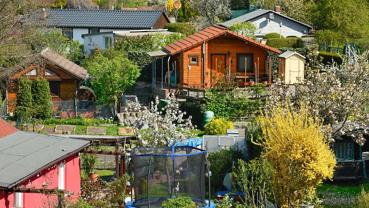 Die Natur wächst und gedeiht. Cannabis darf dies in Schrebergärten jedoch in der Regel nicht.