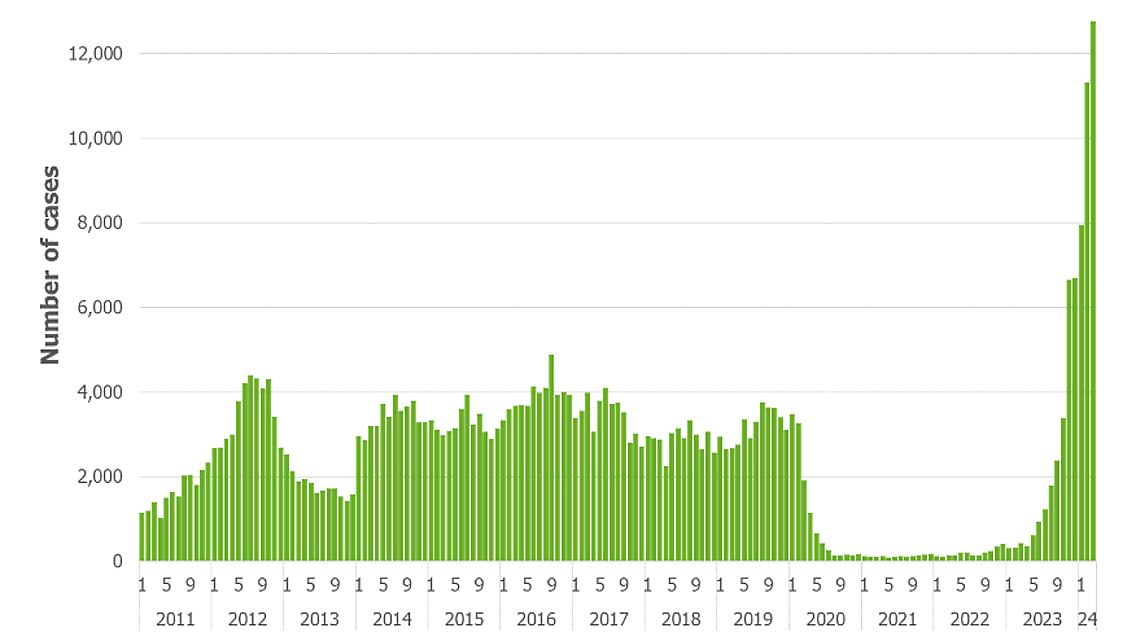 Die Grafik zeigt eindeutig den sprunghaften Anstieg der Keuchhusten-Fälle in diesem Jahr.