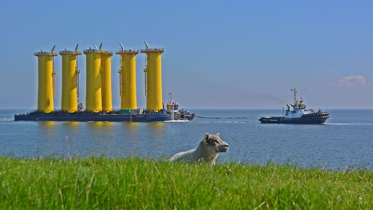 Die sogenannten Transition Pieces für den Offshore-Windpark "He Dreiht" werden bereits transportiert.