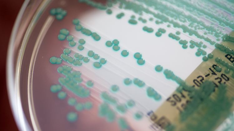 Antibiotika setzen einigen Bakterien leider nicht mehr zu. 