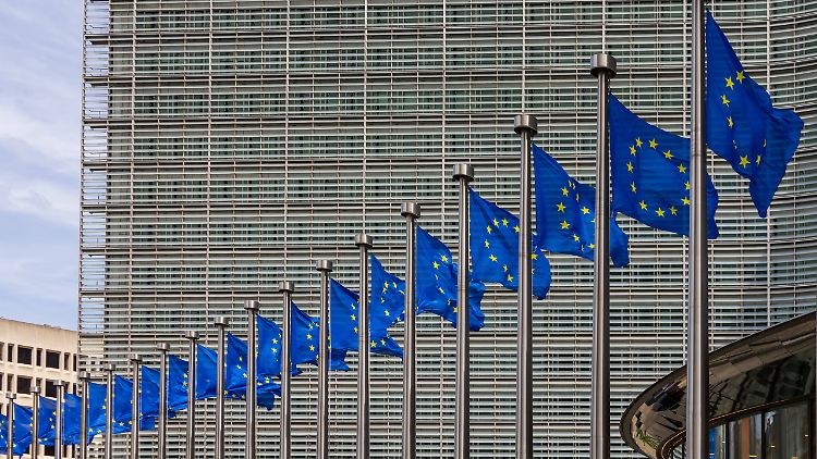 Auf Voice of Europe waren unter anderem Interviews mit dem AfD-Politiker Bystron und seinem Parteikollegen Krah erschienen.