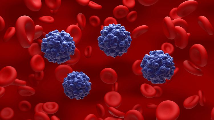 Partikel des Parvovirus B19 im Blut. Bei einer Ansteckung mit Ringelröteln haben die meisten Erwachsenen und Kinder Grippesymptome, nicht immer entwickelt sich der typische Hautausschlag.