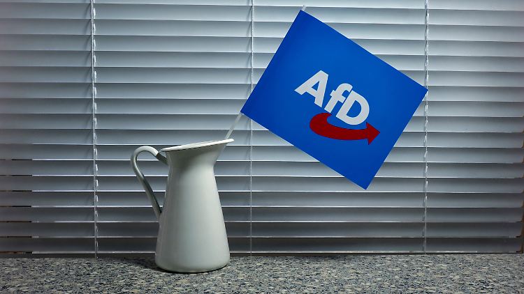 Nach dem Willen der Grünen soll eine Arbeitsgruppe von Bund und Ländern Material über die AfD systematisch erfassen und bewerten.