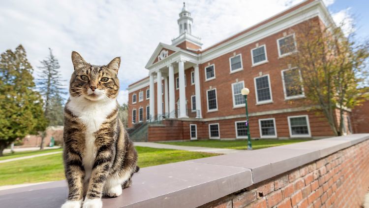 Doktor Max an seiner Alma Mater