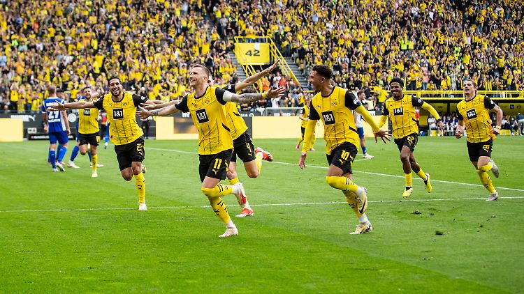 Fans wie Mitspieler - alle Dortmunder feiern Marco Reus.