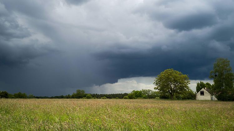 Mehrere Wetter-Tiefs werden in der kommenden Woche Gewitter mit sich bringen. Dabei soll es aber warm werden - auch die Sonne soll sich blicken lassen.