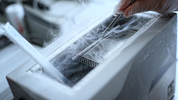 Social Freezing bezeichnet das vorsorgliche Einfrieren von unbefruchteten Eizellen.
