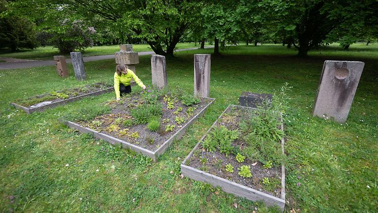 Lilith Stelzner, Naturschutzreferentin beim BUND Baden-Württemberg, neben Mustergräbern des Projektes "Insektenfreundlicher Friedhof".